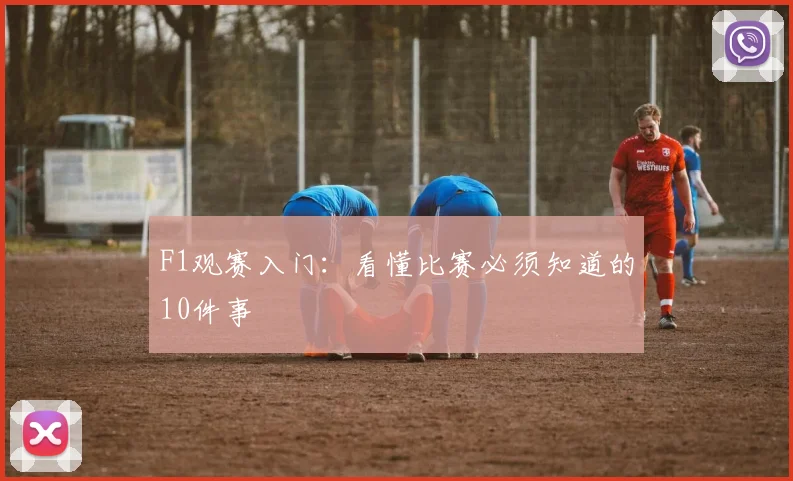 F1观赛入门:看懂比赛必须知道的10件事
